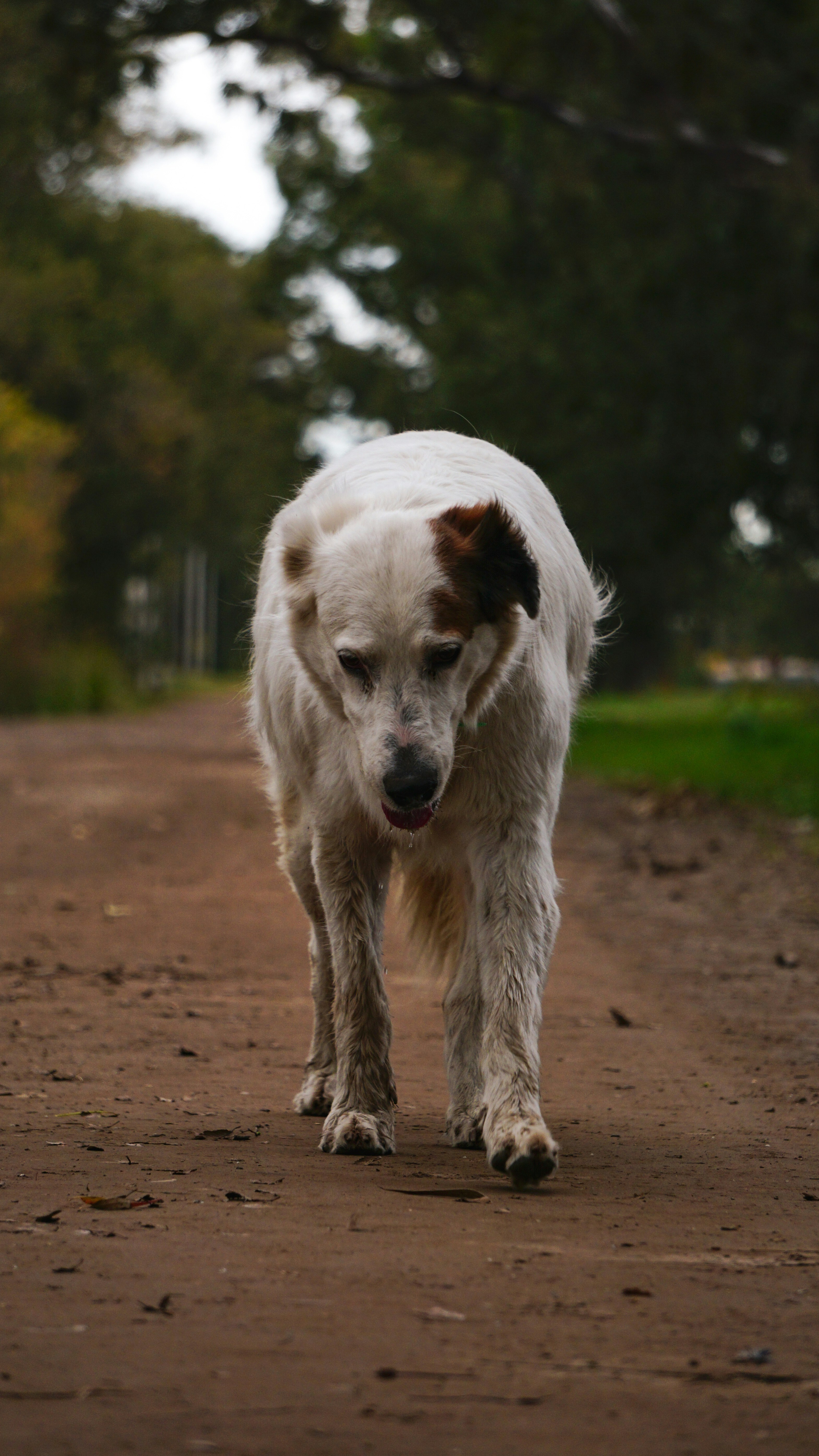 Photo by federicofaccipieri