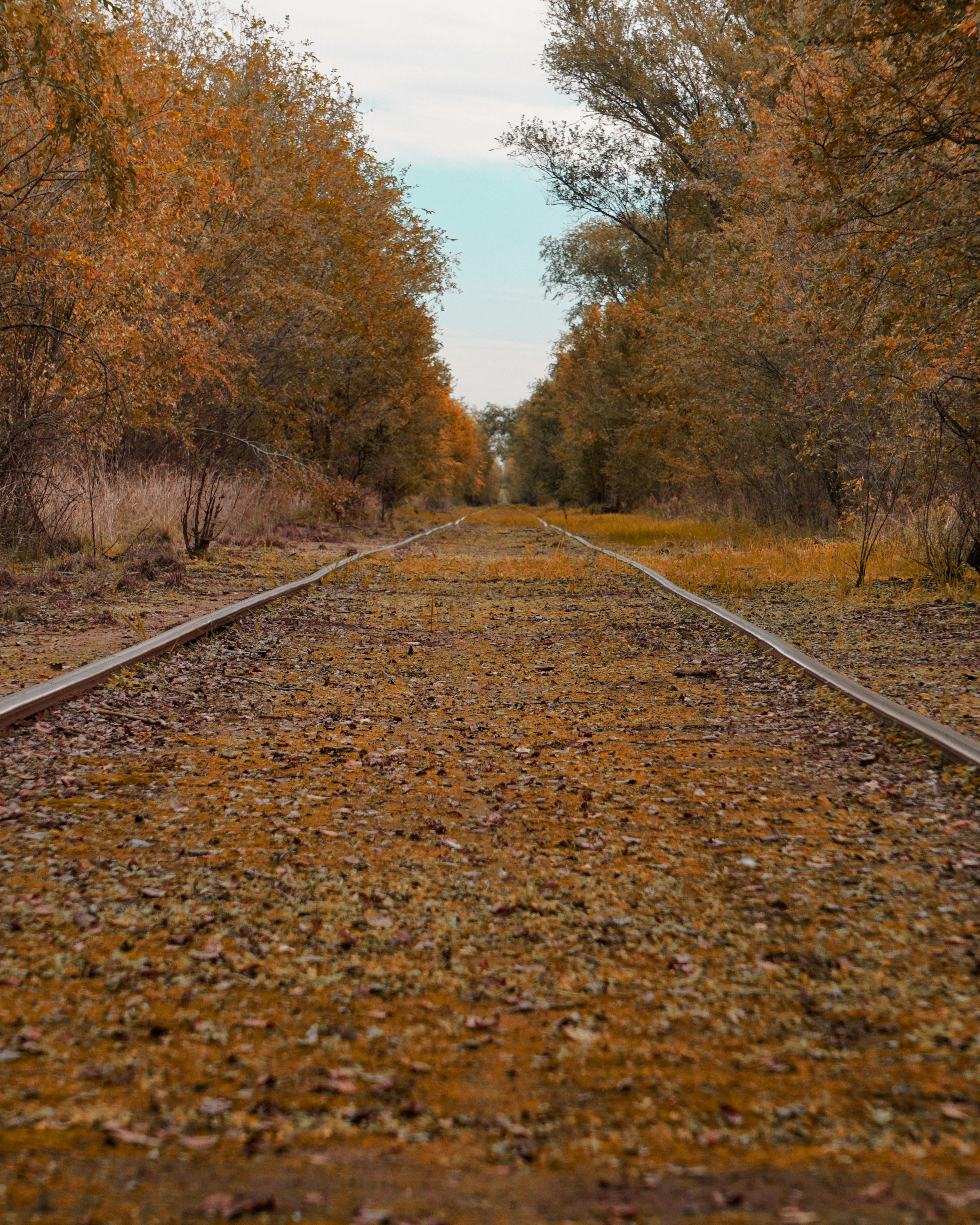 Photo by federicofaccipieri