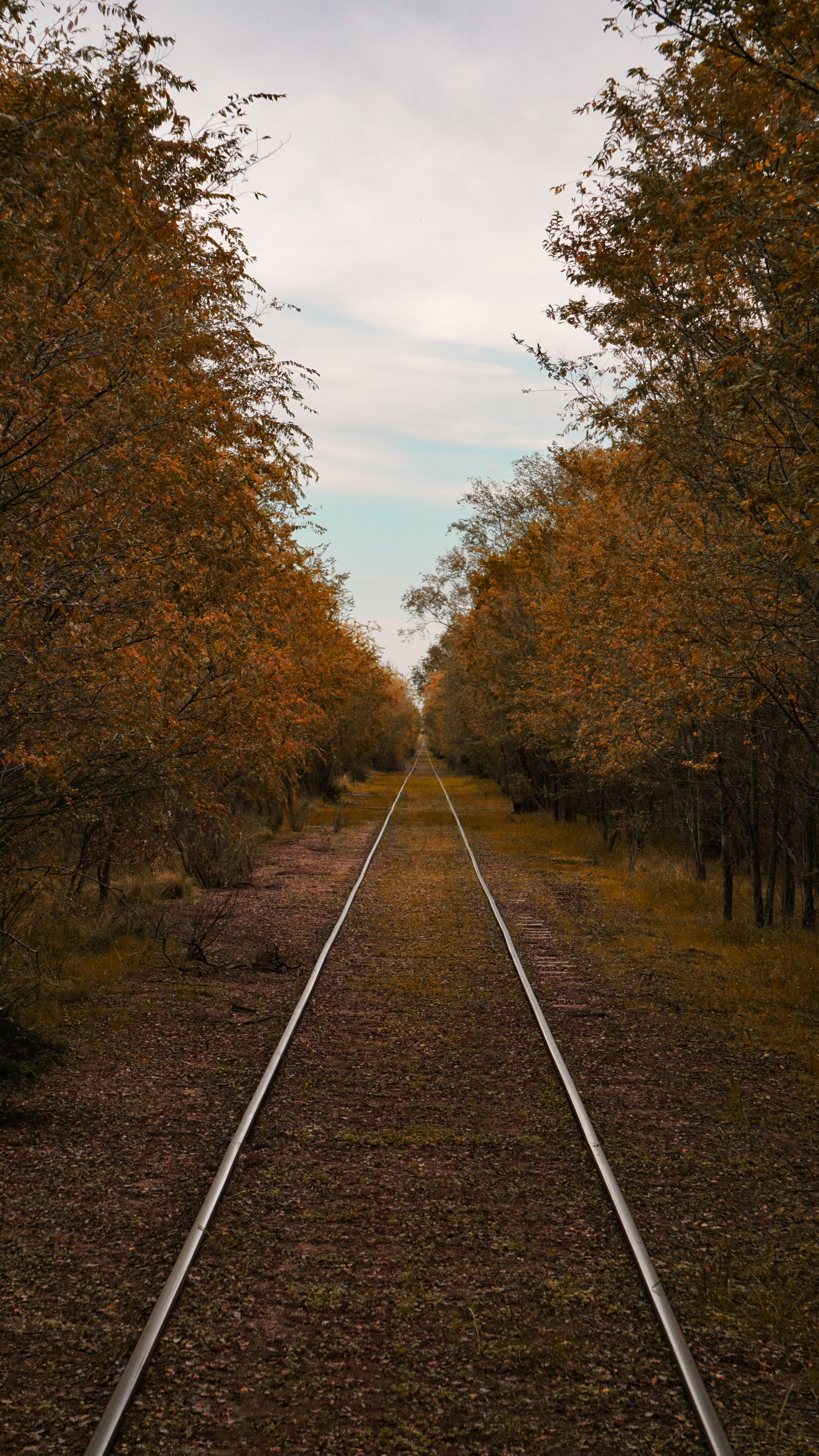 Photo by federicofaccipieri