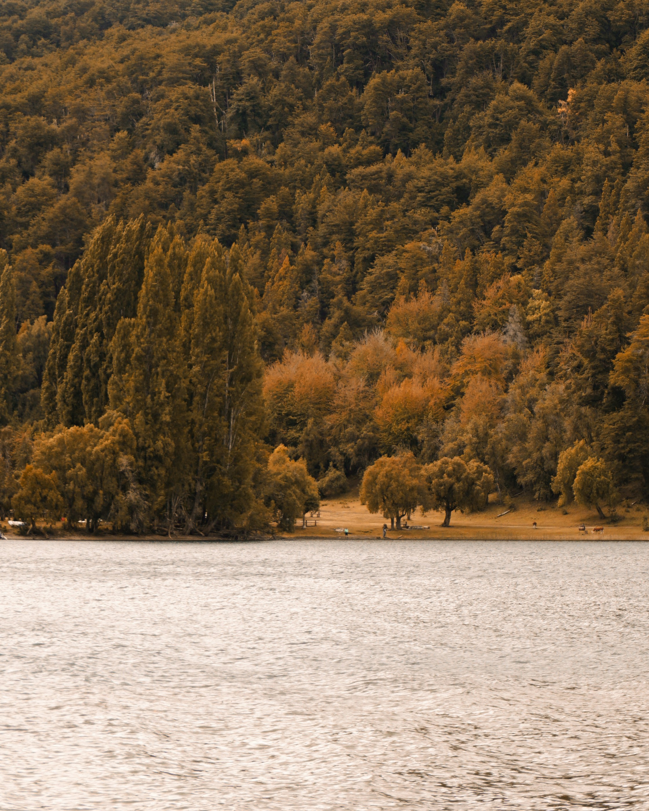 Photo by federicofaccipieri