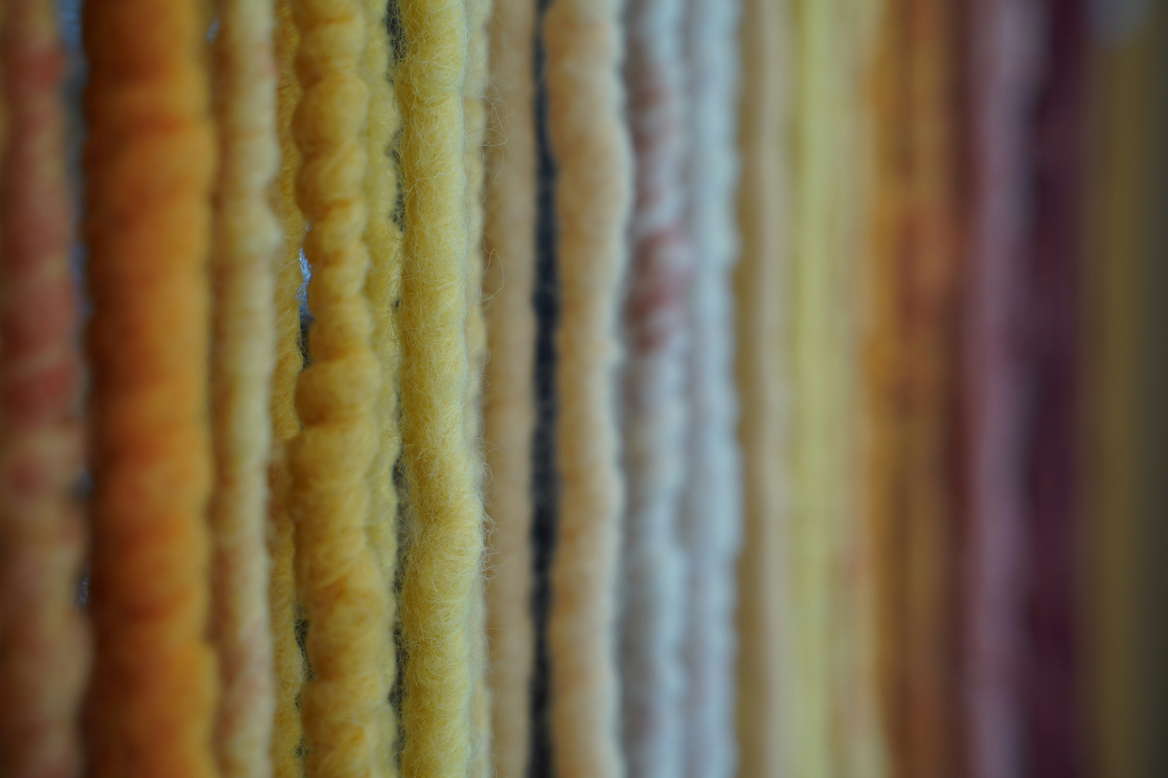 Photo by sebbistrauch