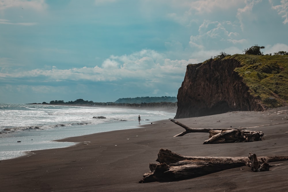 brown rock formation on seashore during daytime