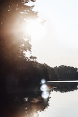 Soft glowing light filtering through tree branches over a calm lake