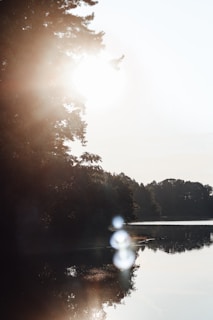 Sunlight filtering through tall trees over a calm lake, evoking peace and longevity