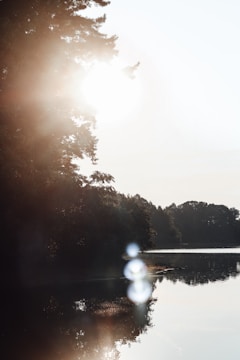 Soft glowing light filtering through tree branches over a calm lake
