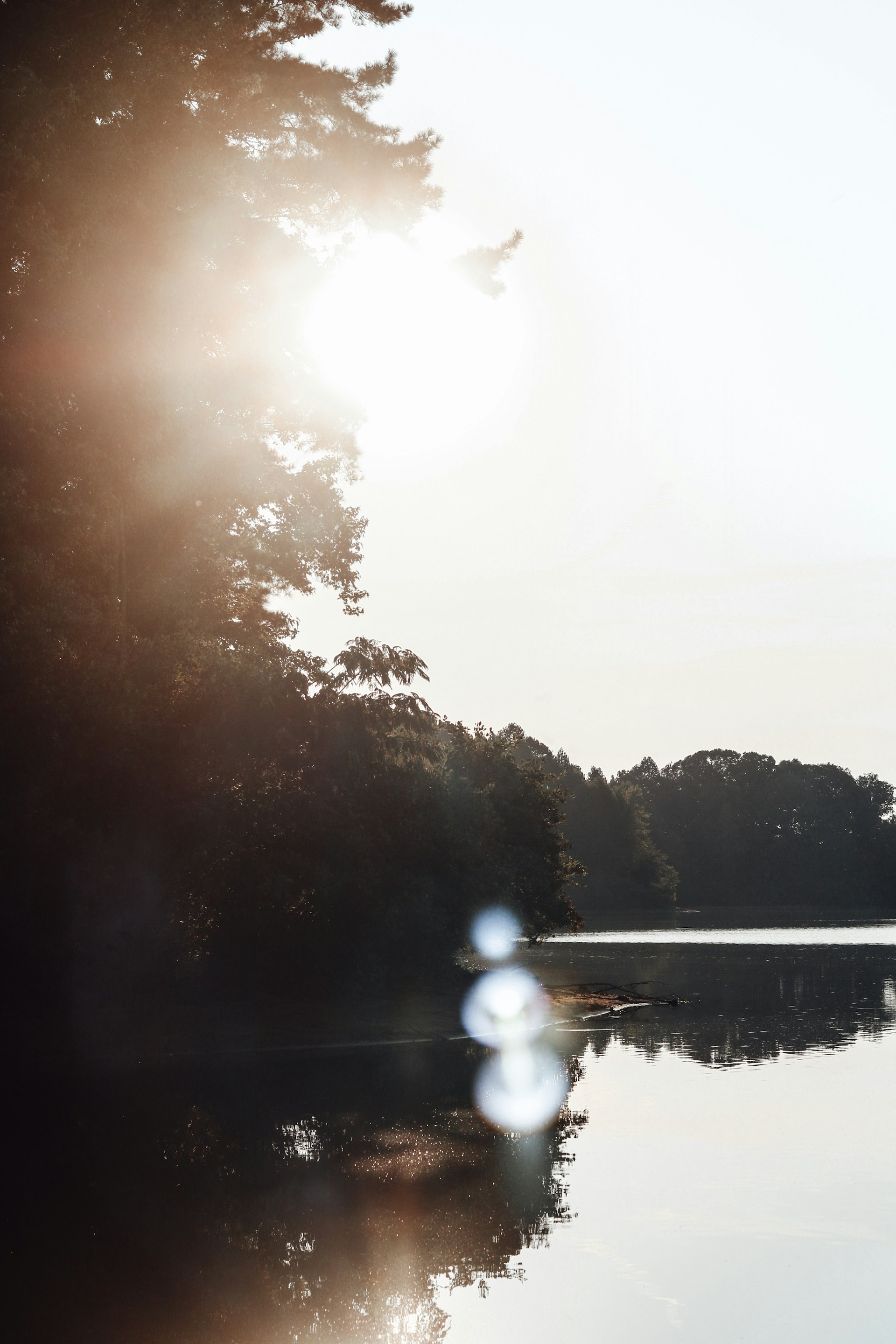 woman wearing yellow long-sleeved dress under white clouds and blue sky during daytime