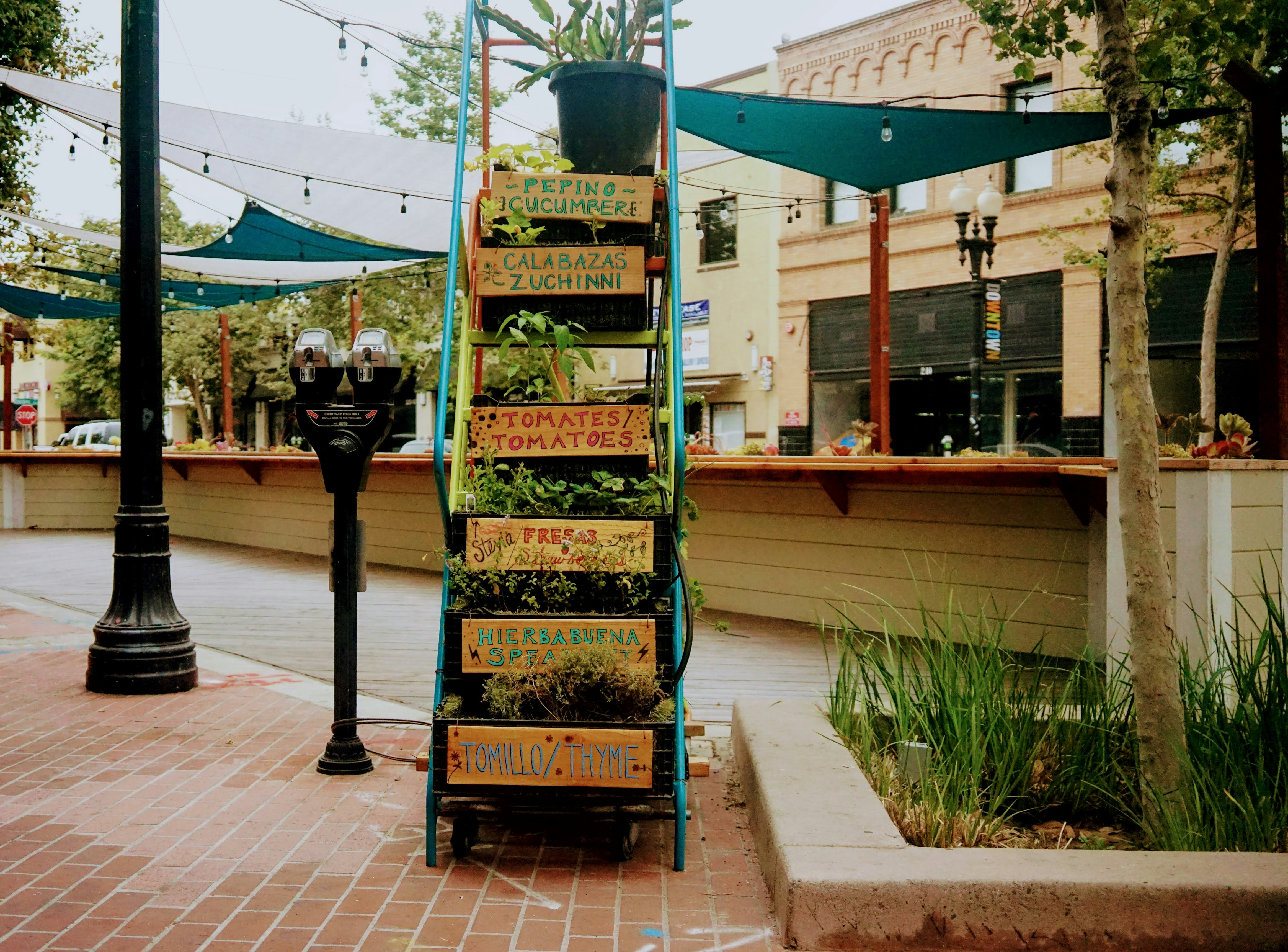 black and green metal stand near green plants during daytime