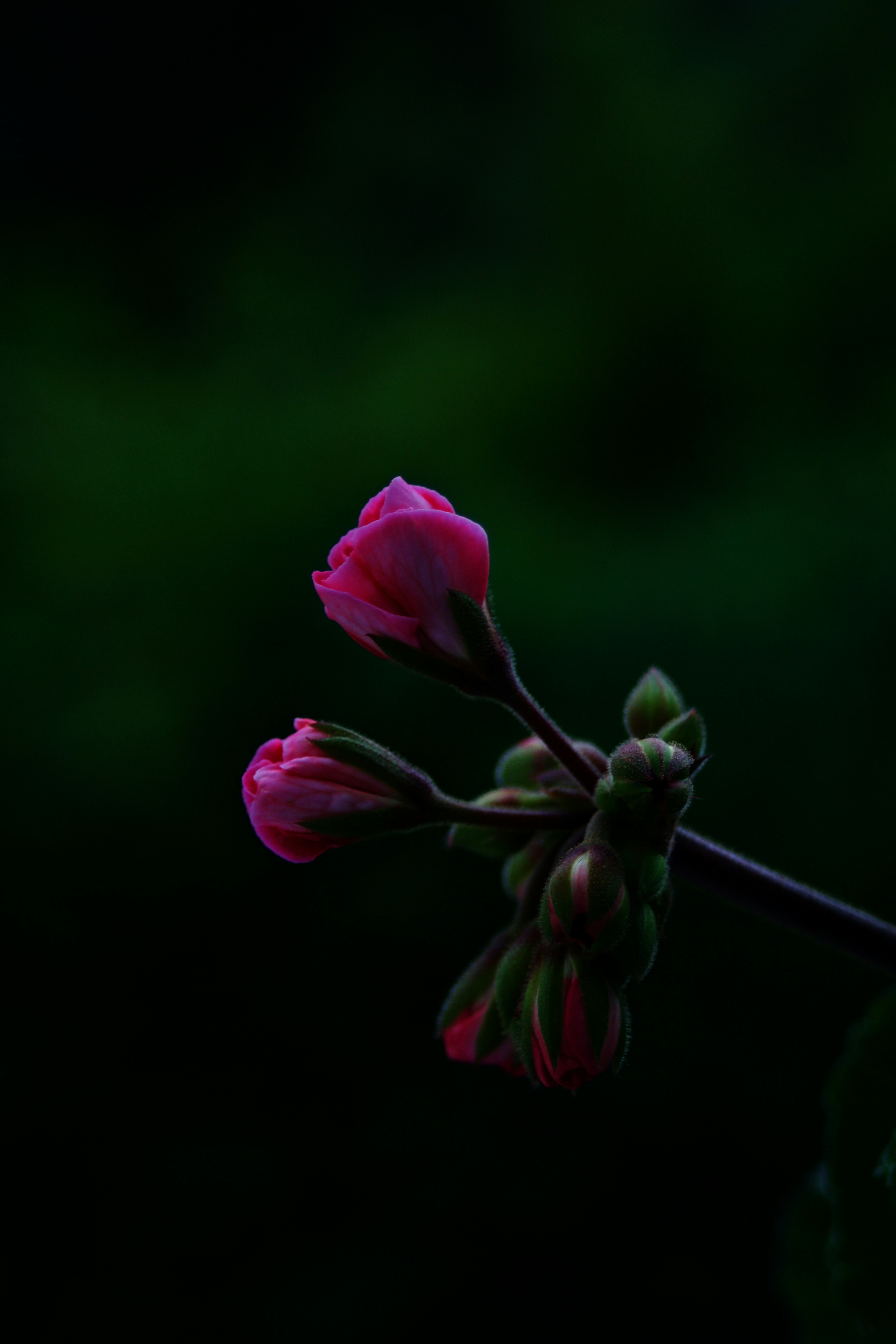 Photo by stockbirken