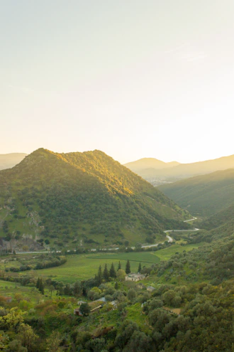 green trees on mountain during daytime