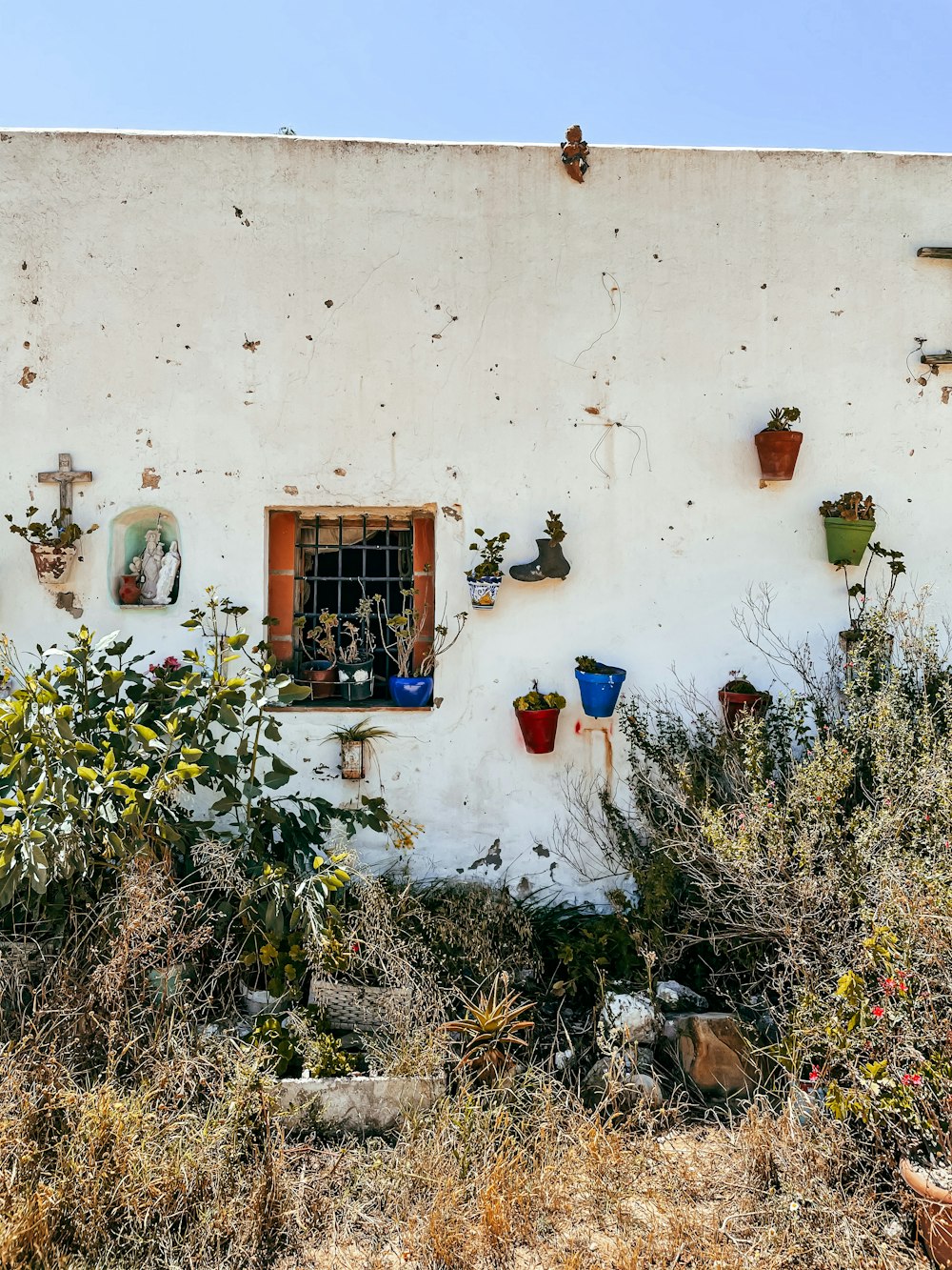 Plantes vertes à côté d’un mur de béton blanc