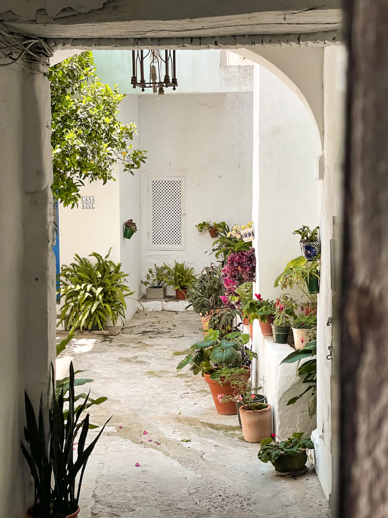 A whitewashed Andalusian village on a hillside