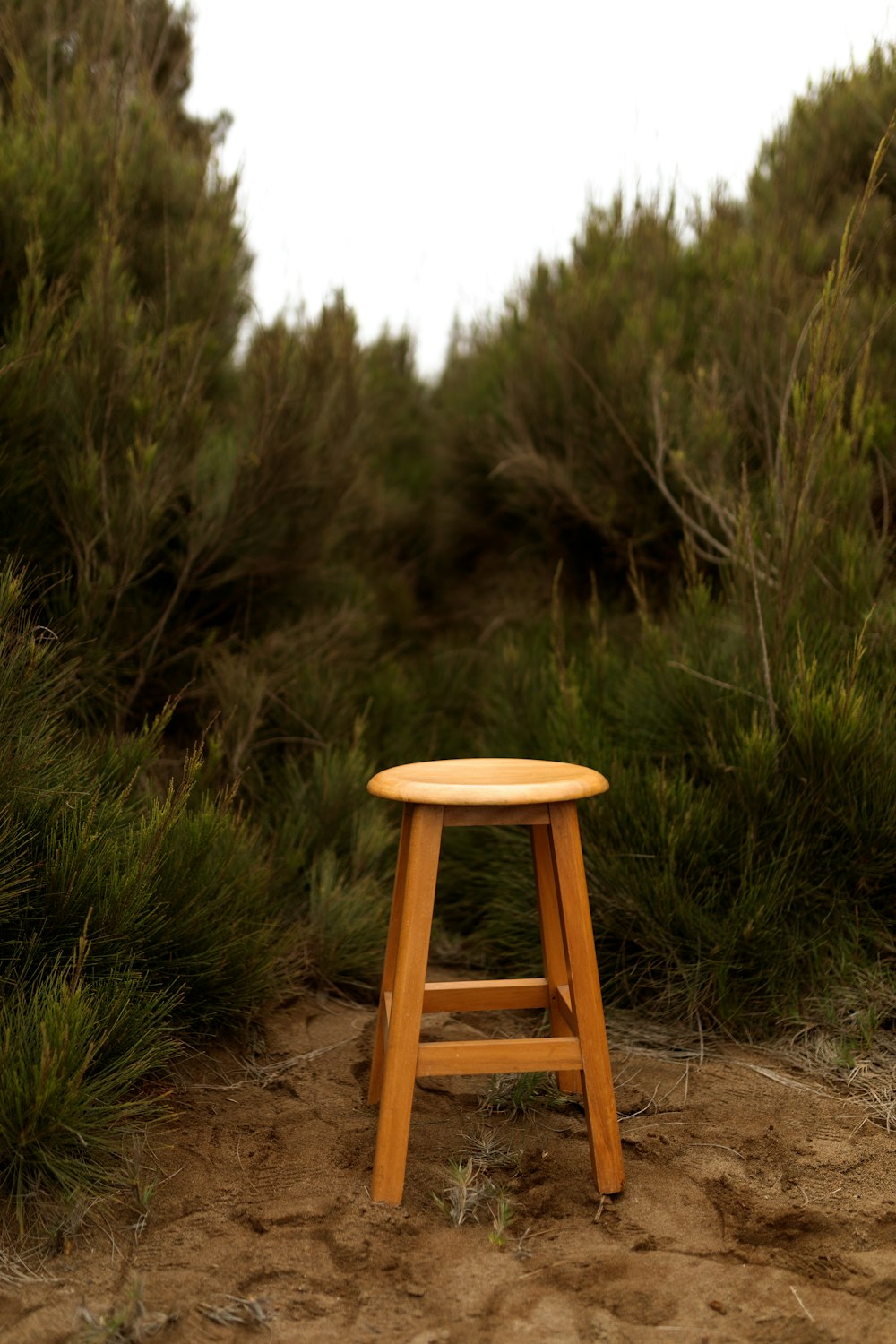 brown wooden seat on brown soil