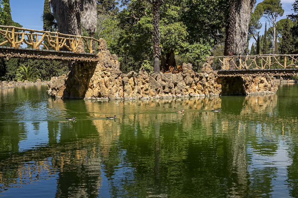 brown wooden bridge over river