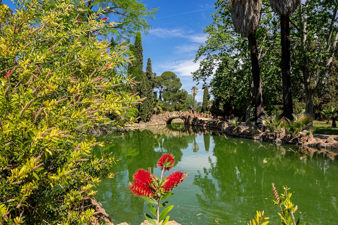 green trees beside body of water during daytime