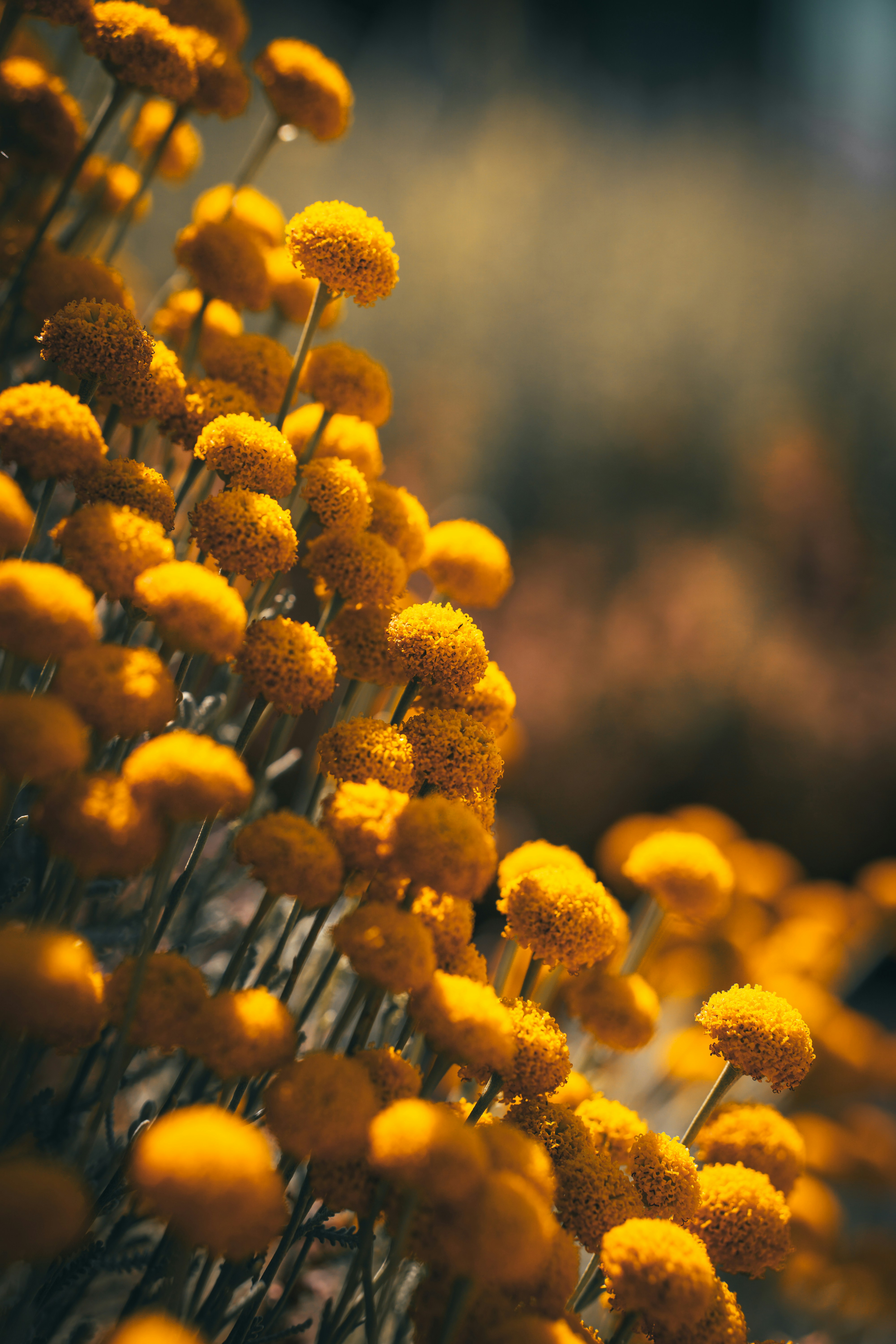 Photo by electerious