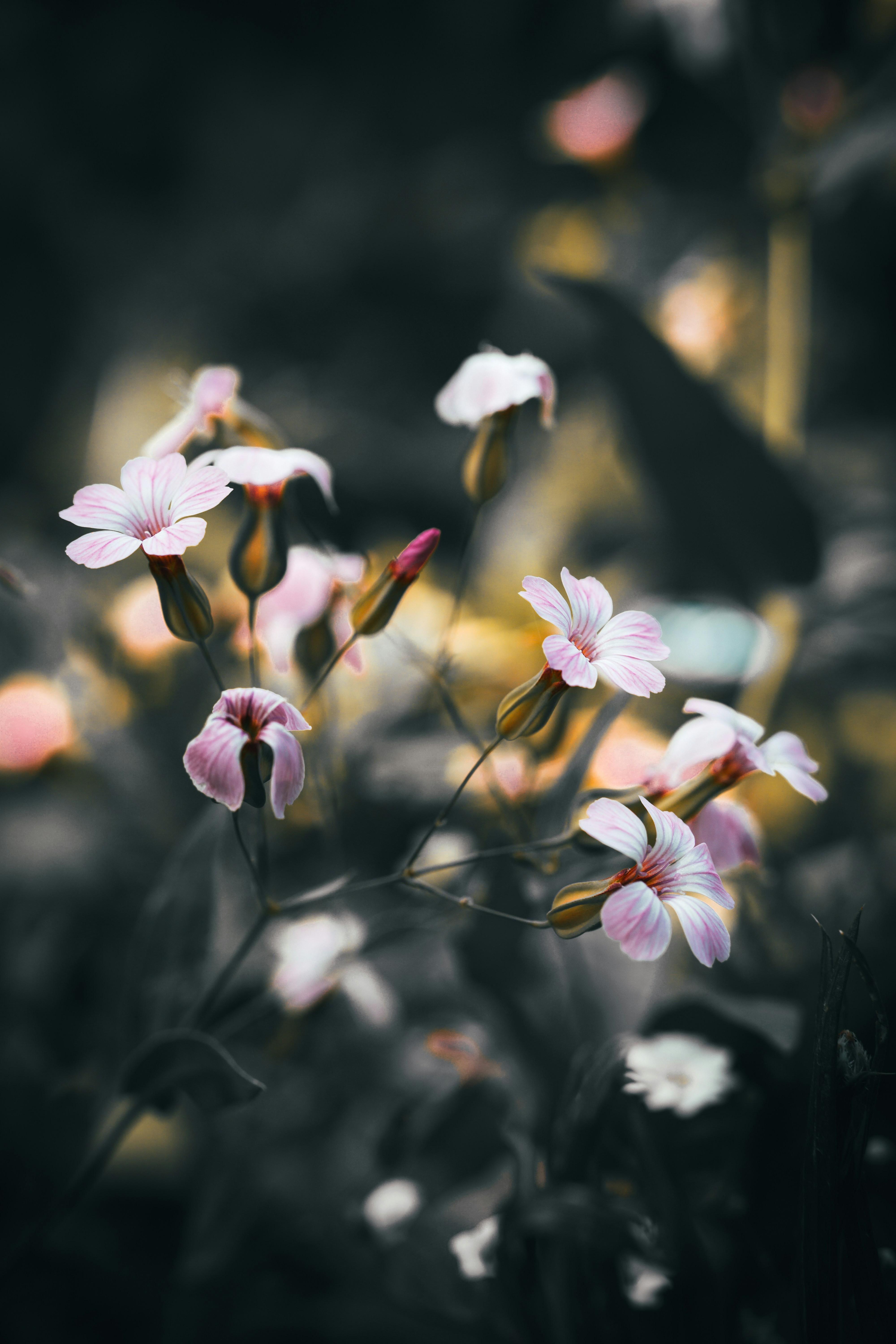 Photo by electerious