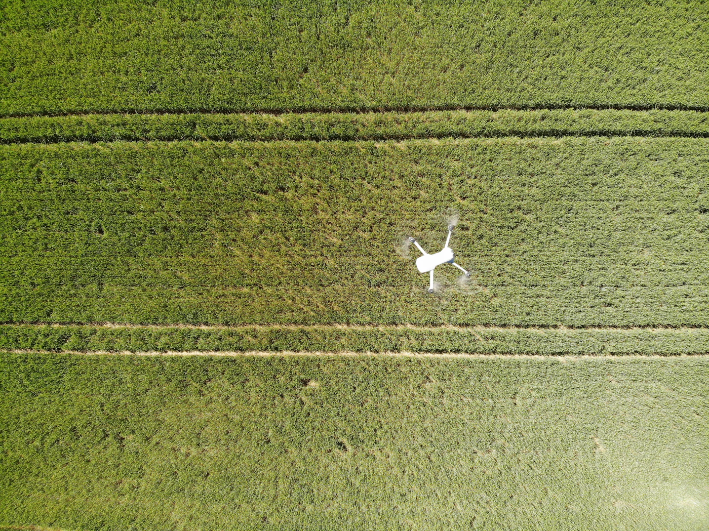 Crop field annotation