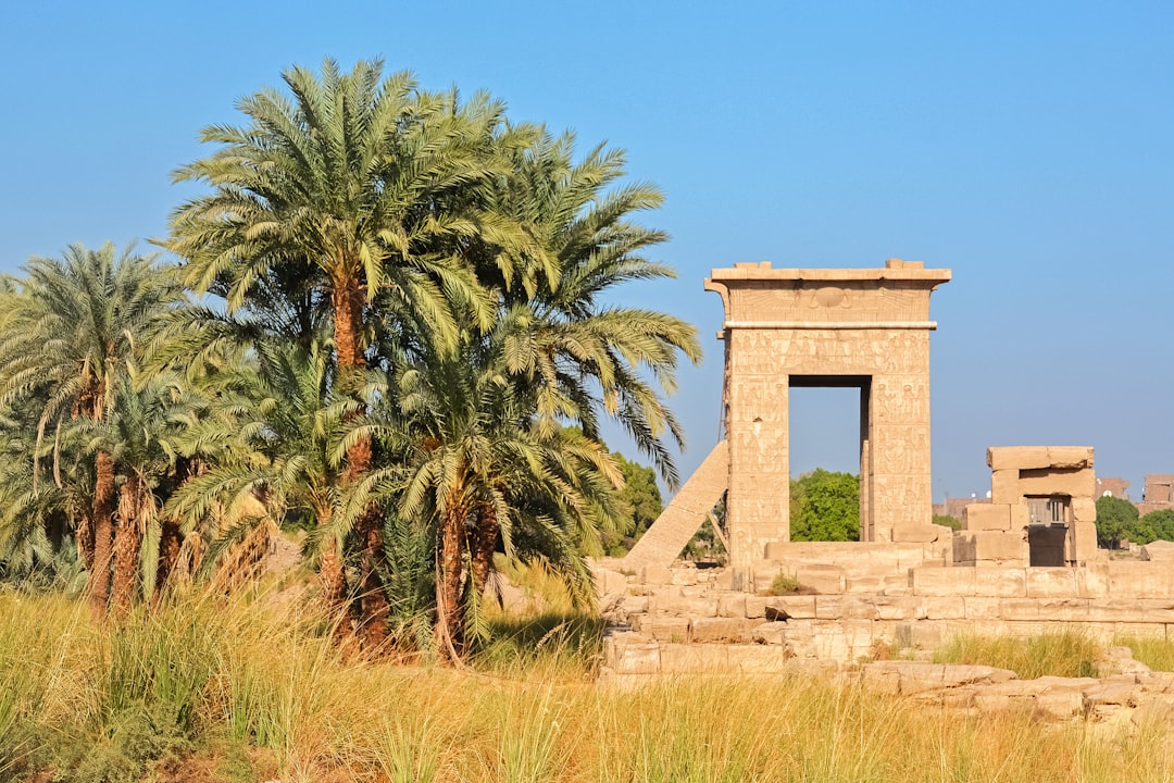 green palm trees under blue sky during daytime