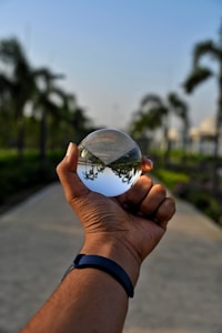 A hand is holding a clear crystal ball that reflects an upside-down image of a path lined with palm trees. The wrist of the hand wears a dark fitness band. The background features a blurred view of more palm trees and a clear blue sky.