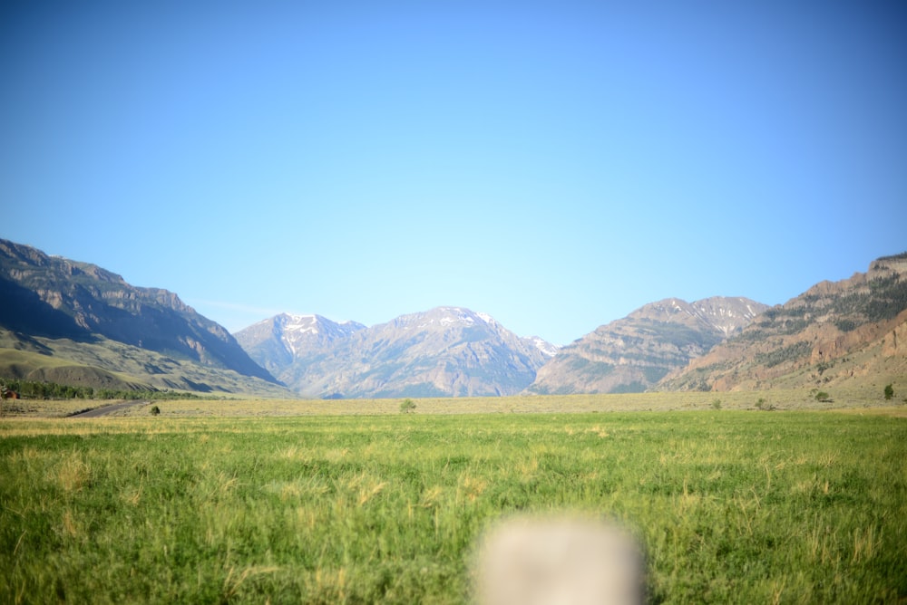 green grass field near mountains under blue sky during daytime