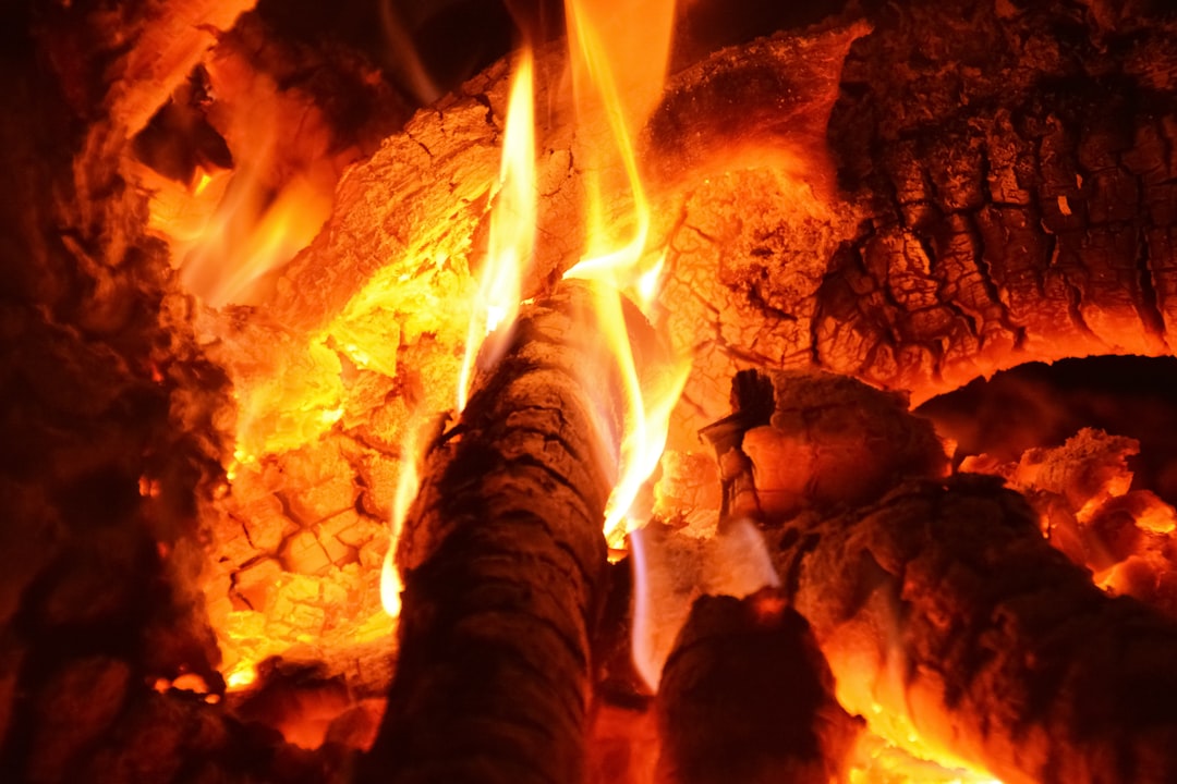 people standing near burning wood