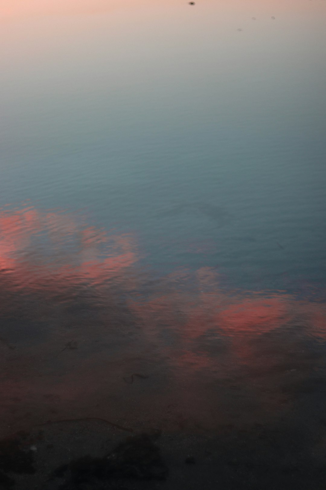 body of water during daytime