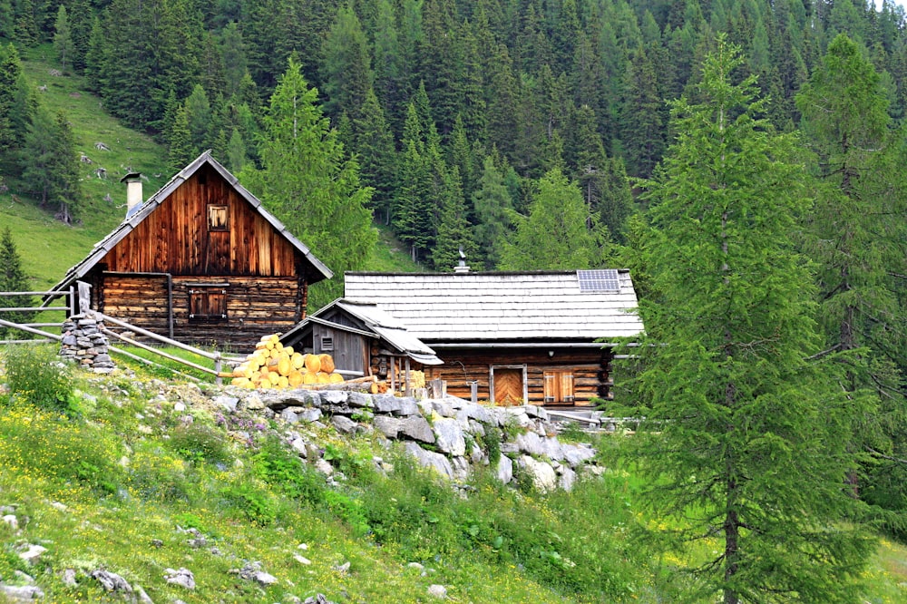 maison en bois marron sur un champ d’herbe verte près d’arbres verts pendant la journée