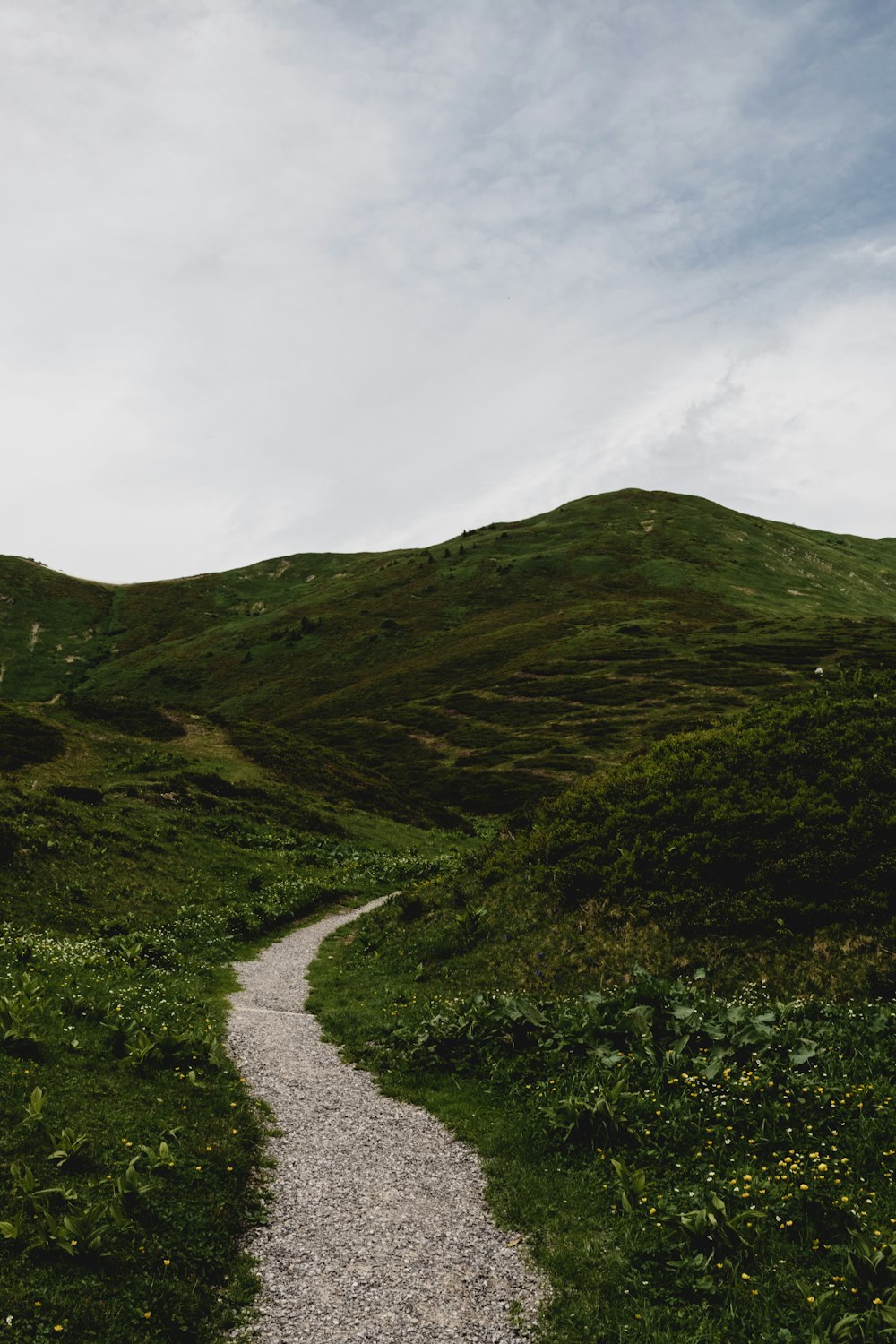 green grass covered hill under cloudy sky during daytime