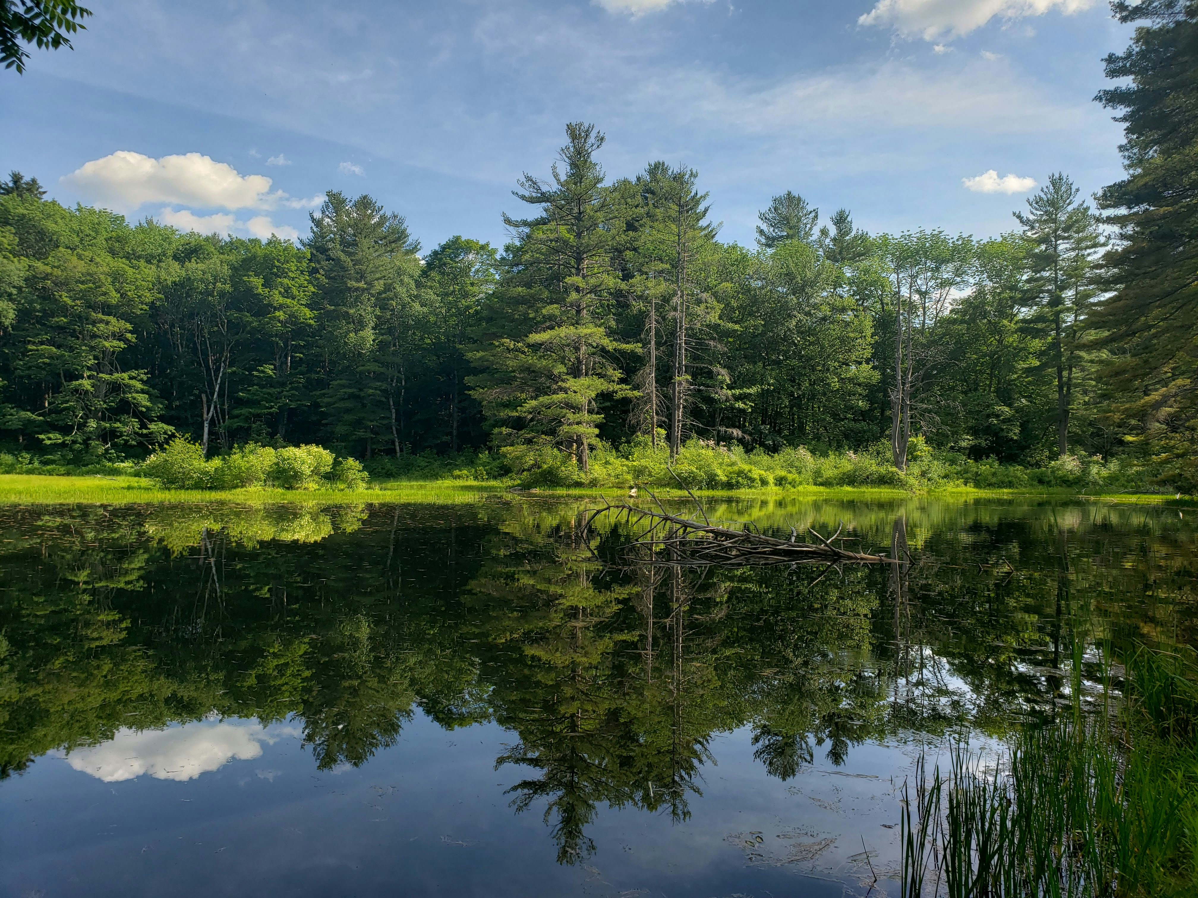 Photo by jjrobinson02