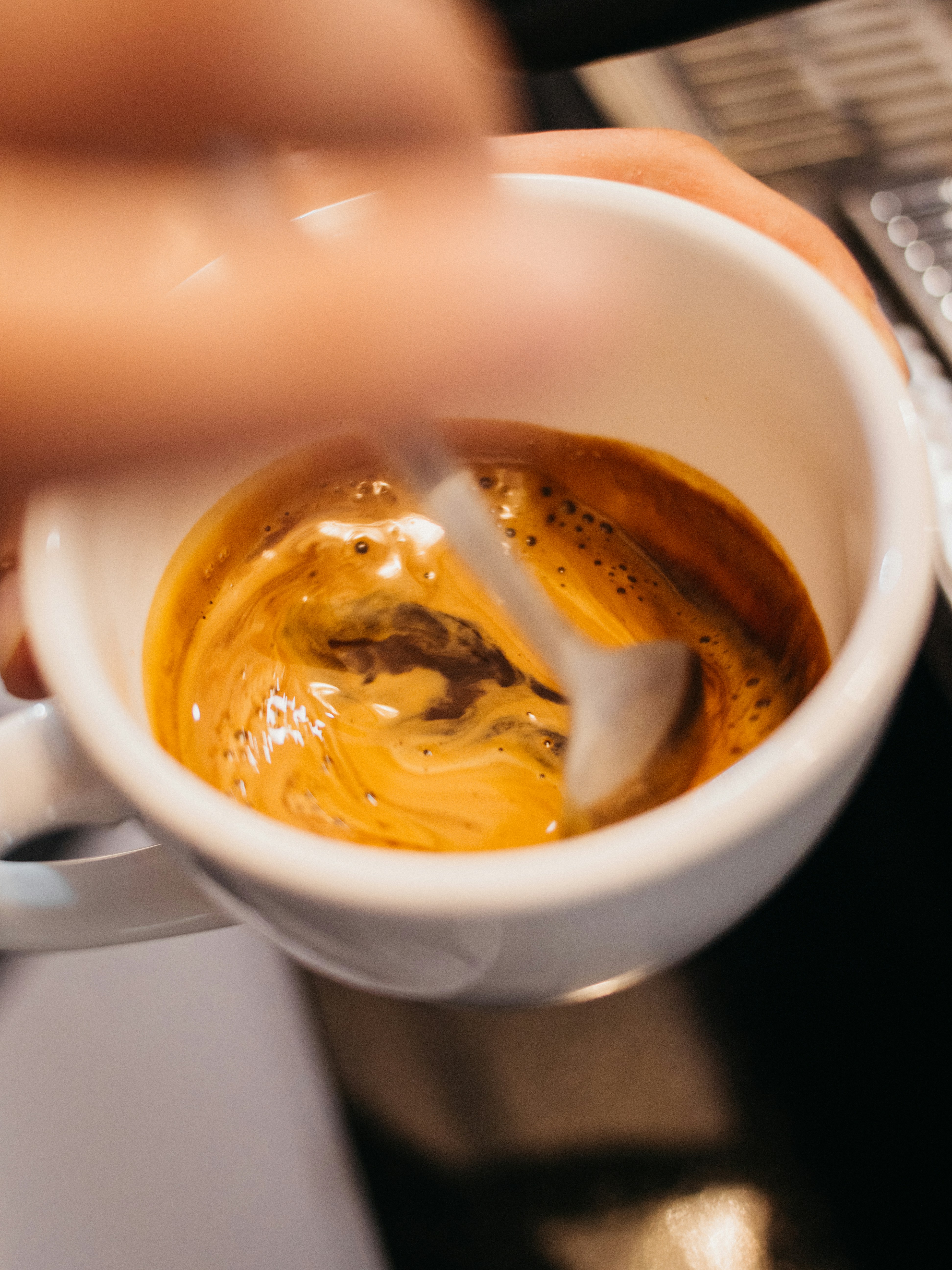 Photo by reddfrancisco