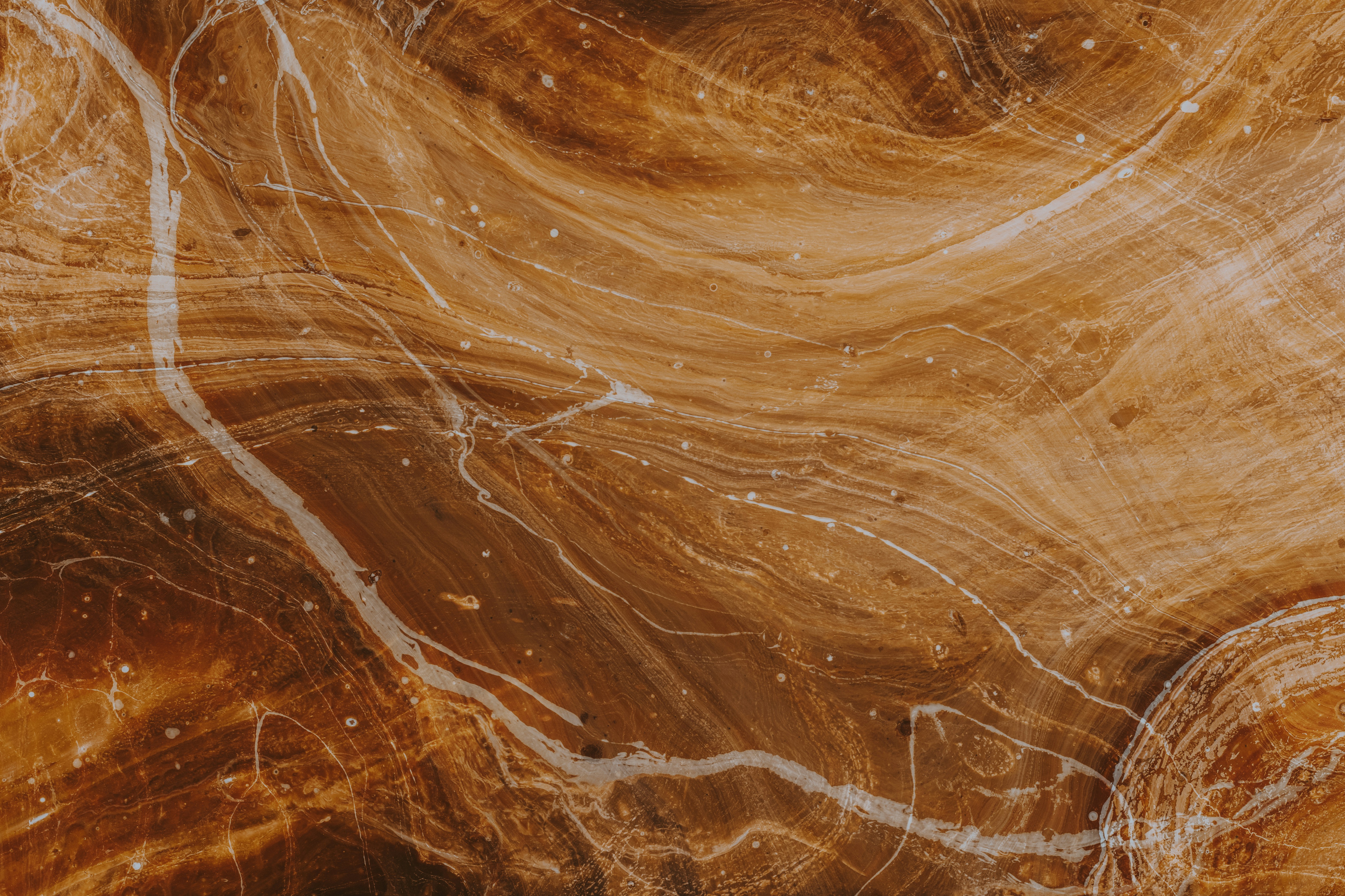 What Cybercrime Patterns Reveal About Future Crime