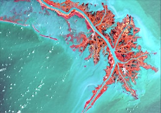 blue and white water wave