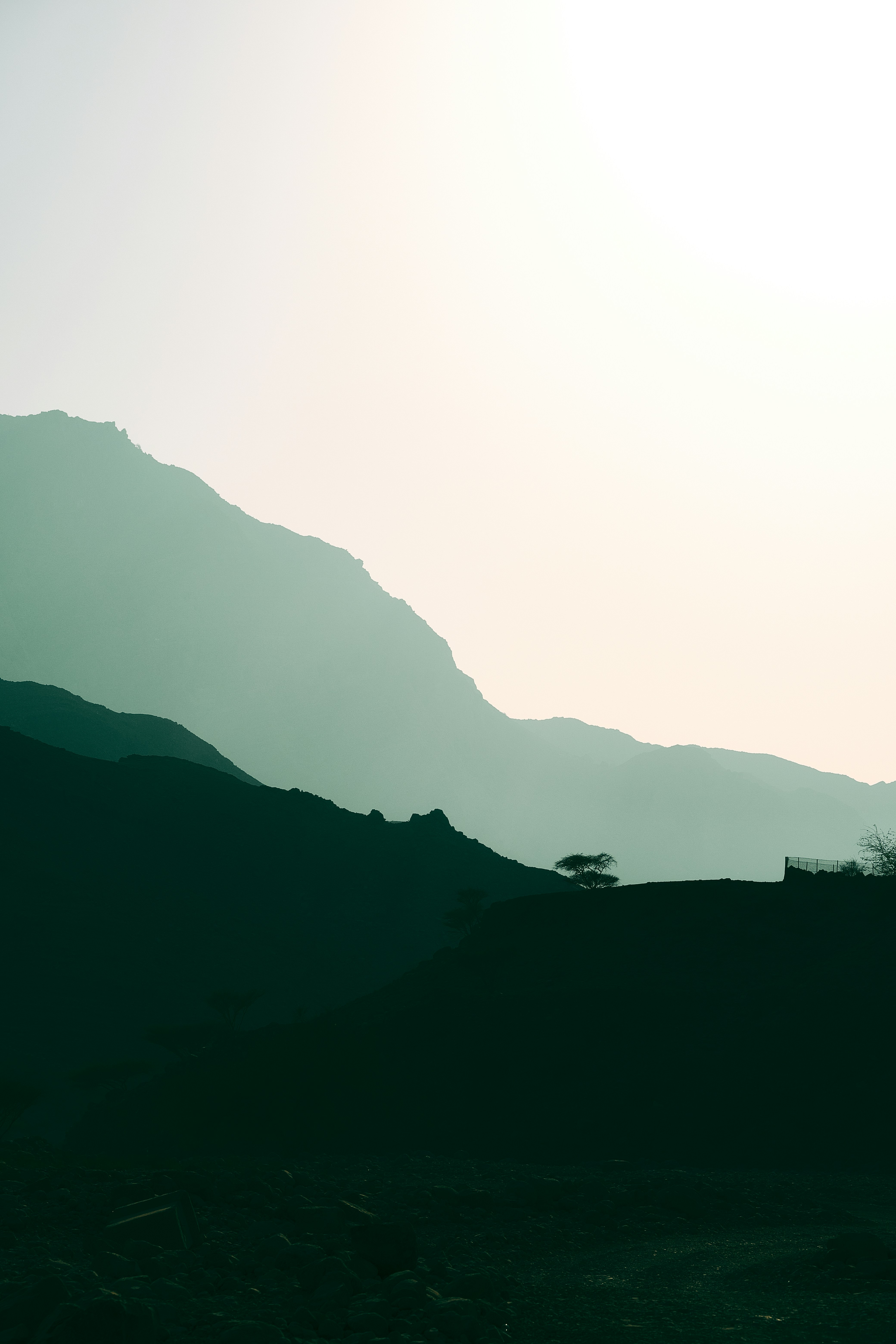 Photo by lazyeyedone