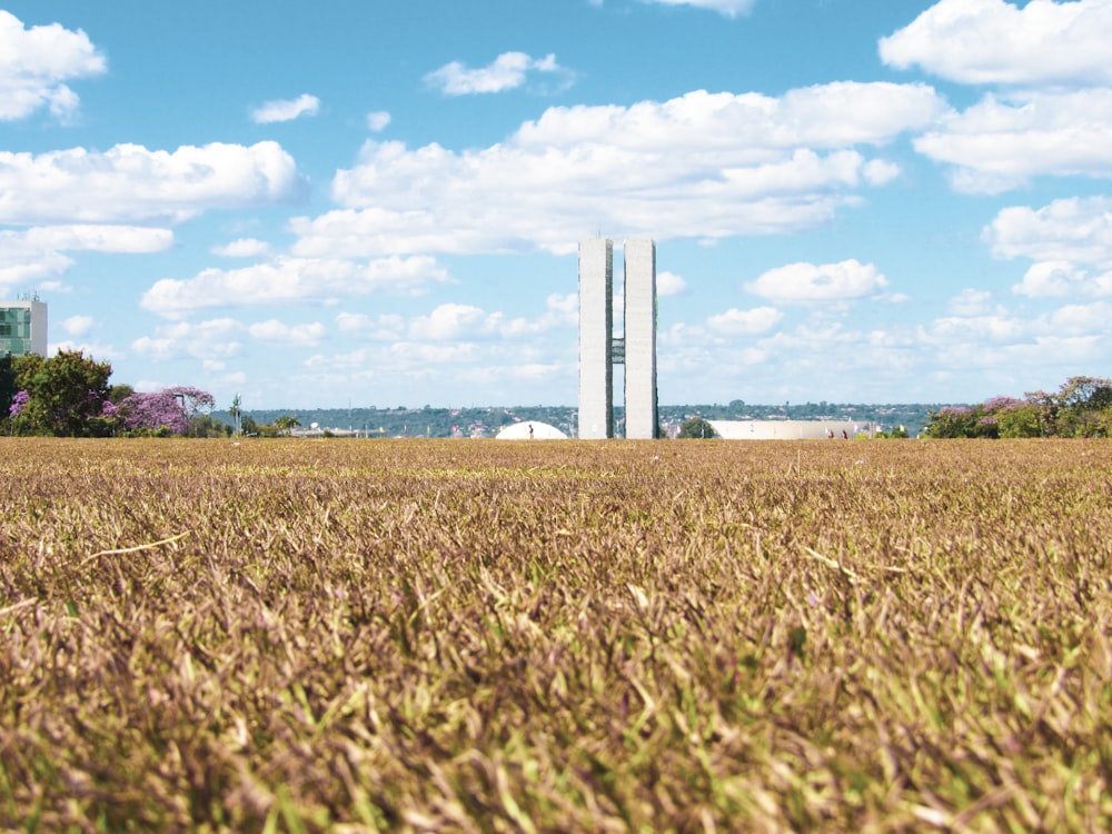 green grass field under blue sky during daytime