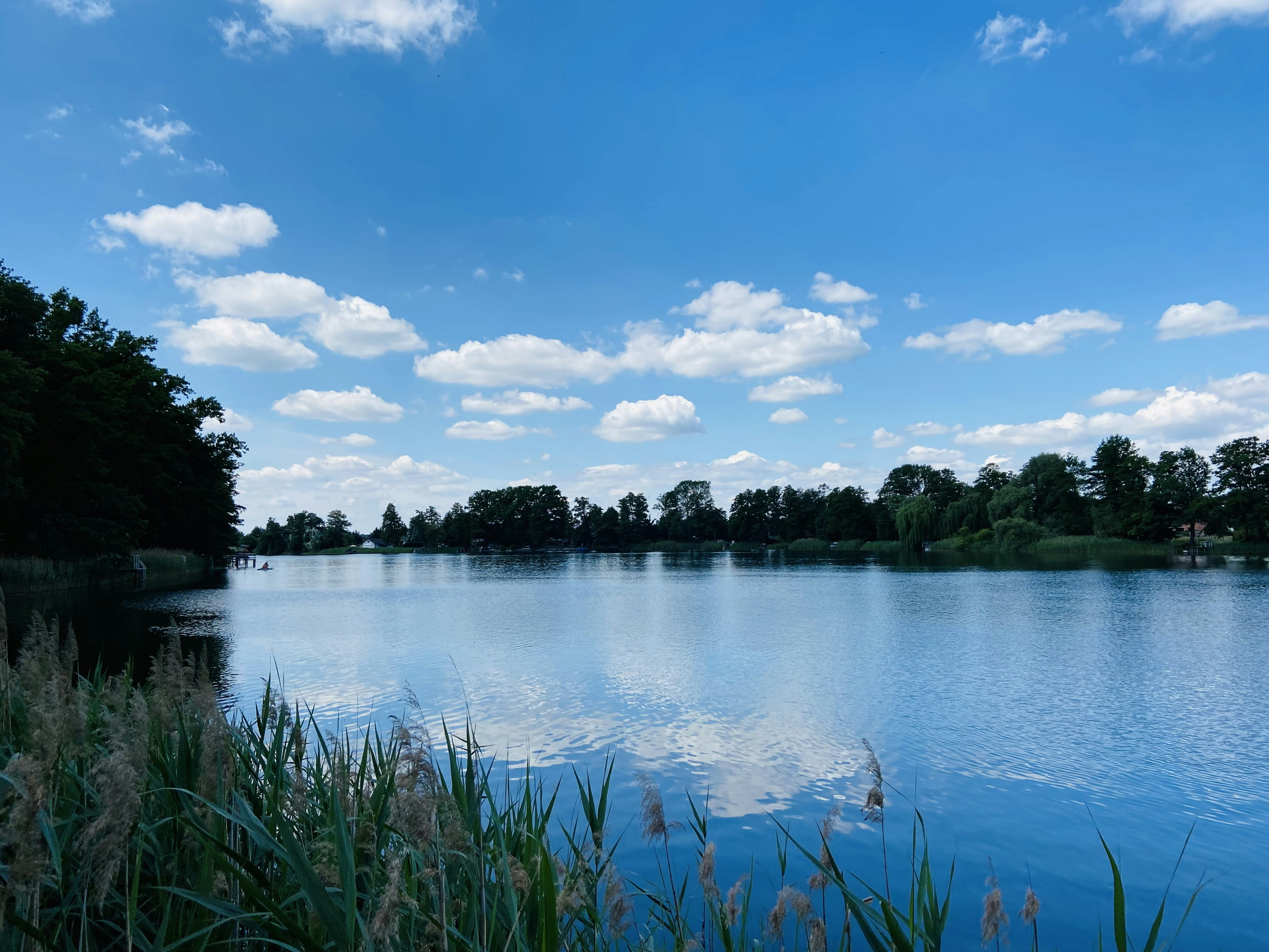 Photo by jonasfromberlin