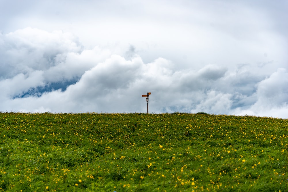 white clouds over green grass field