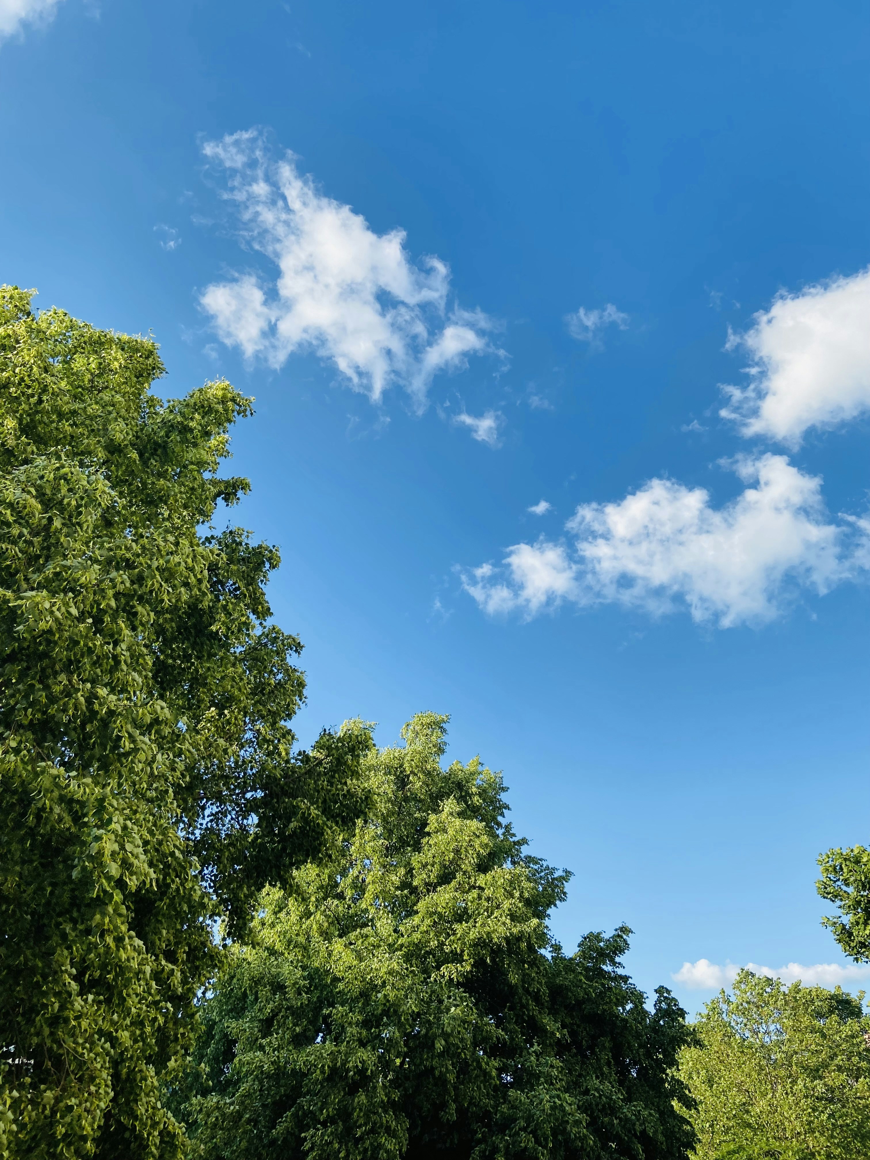 Photo by jonasfromberlin