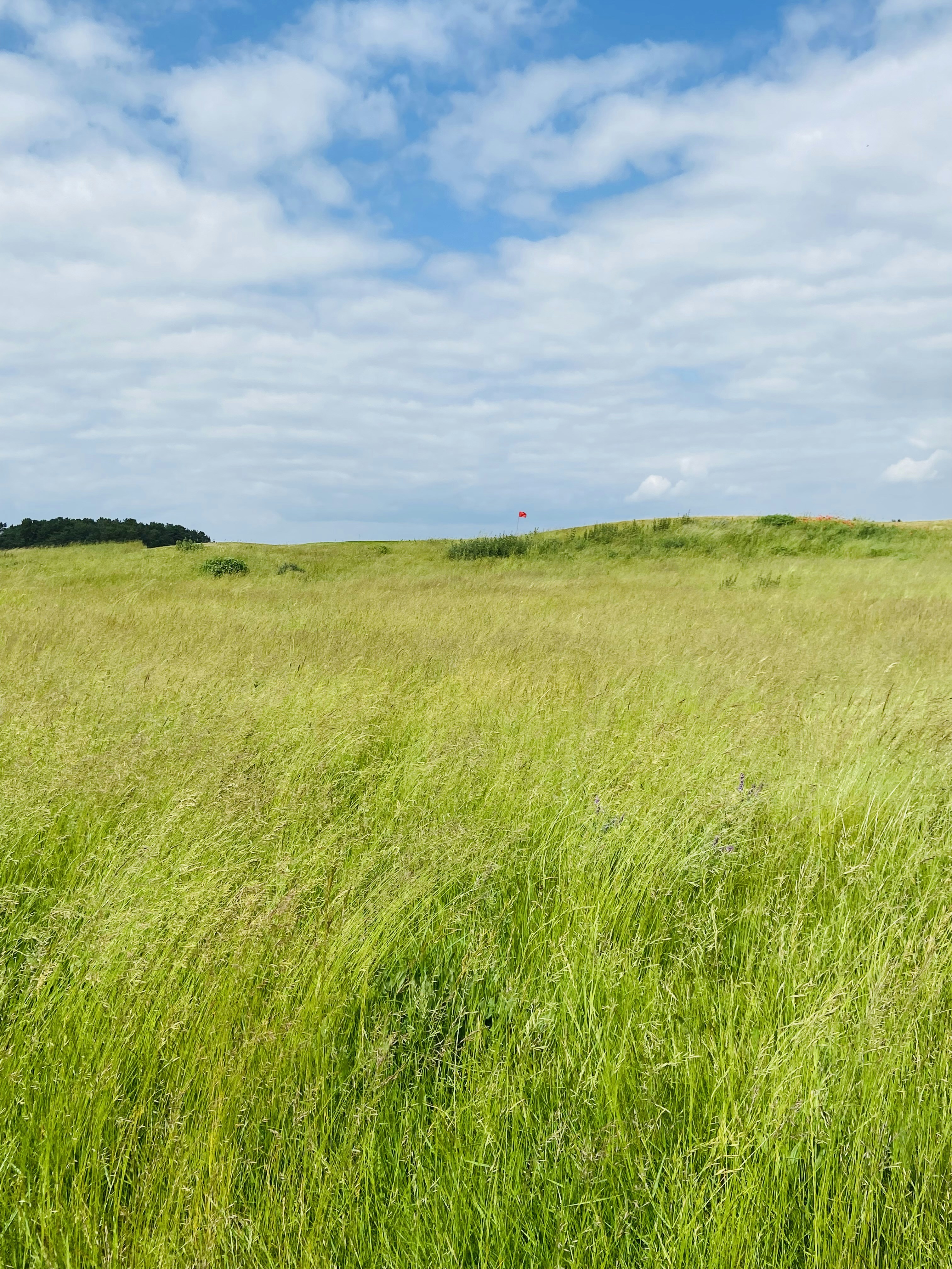 Photo by jonasfromberlin