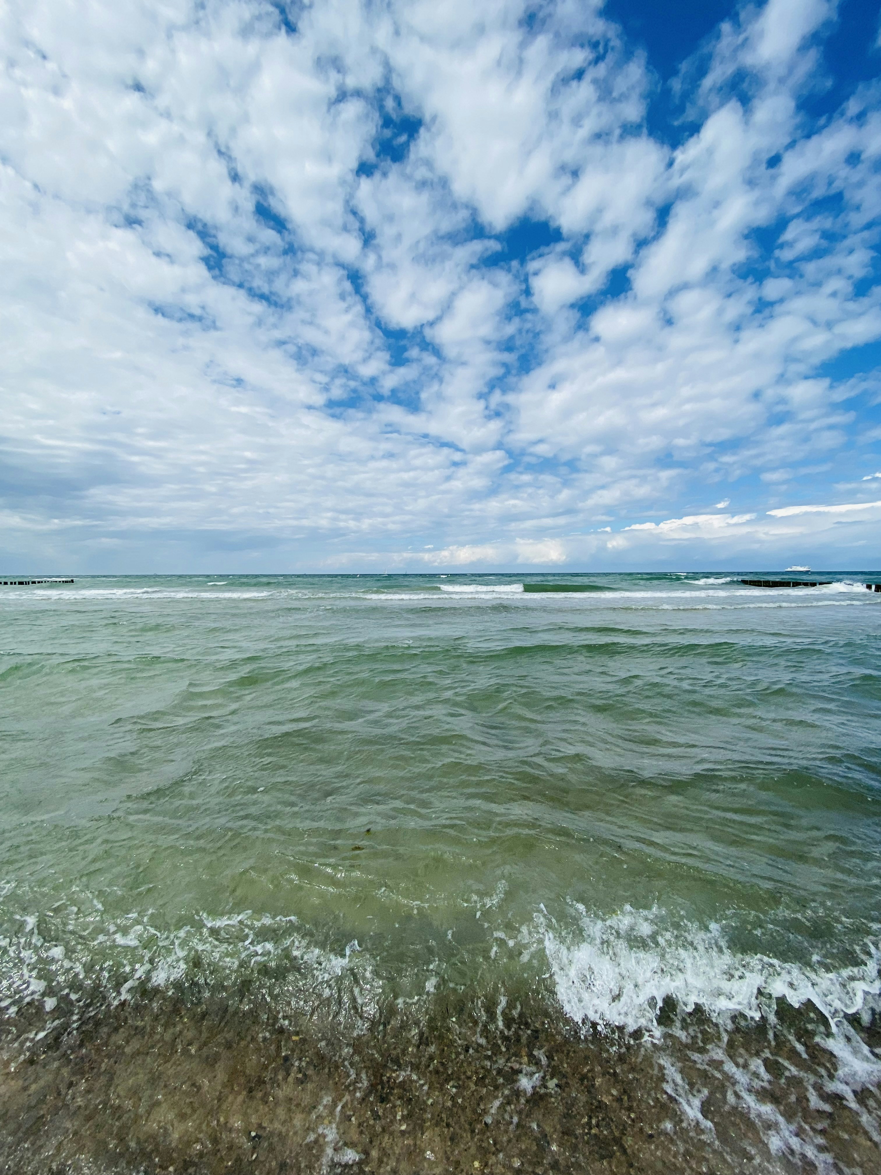 Photo by jonasfromberlin