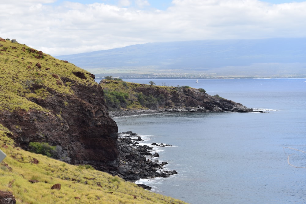 green grass field on brown rock formation near body of water during daytime