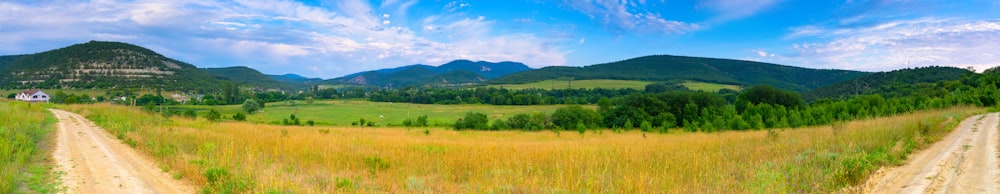 green grass field under blue sky during daytime