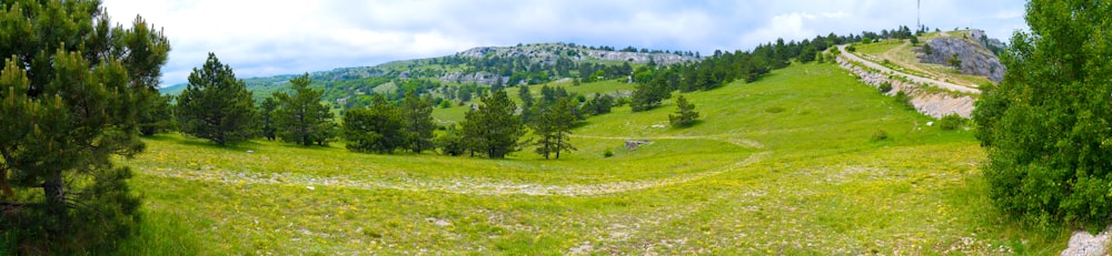 green grass field with trees and mountains in the distance