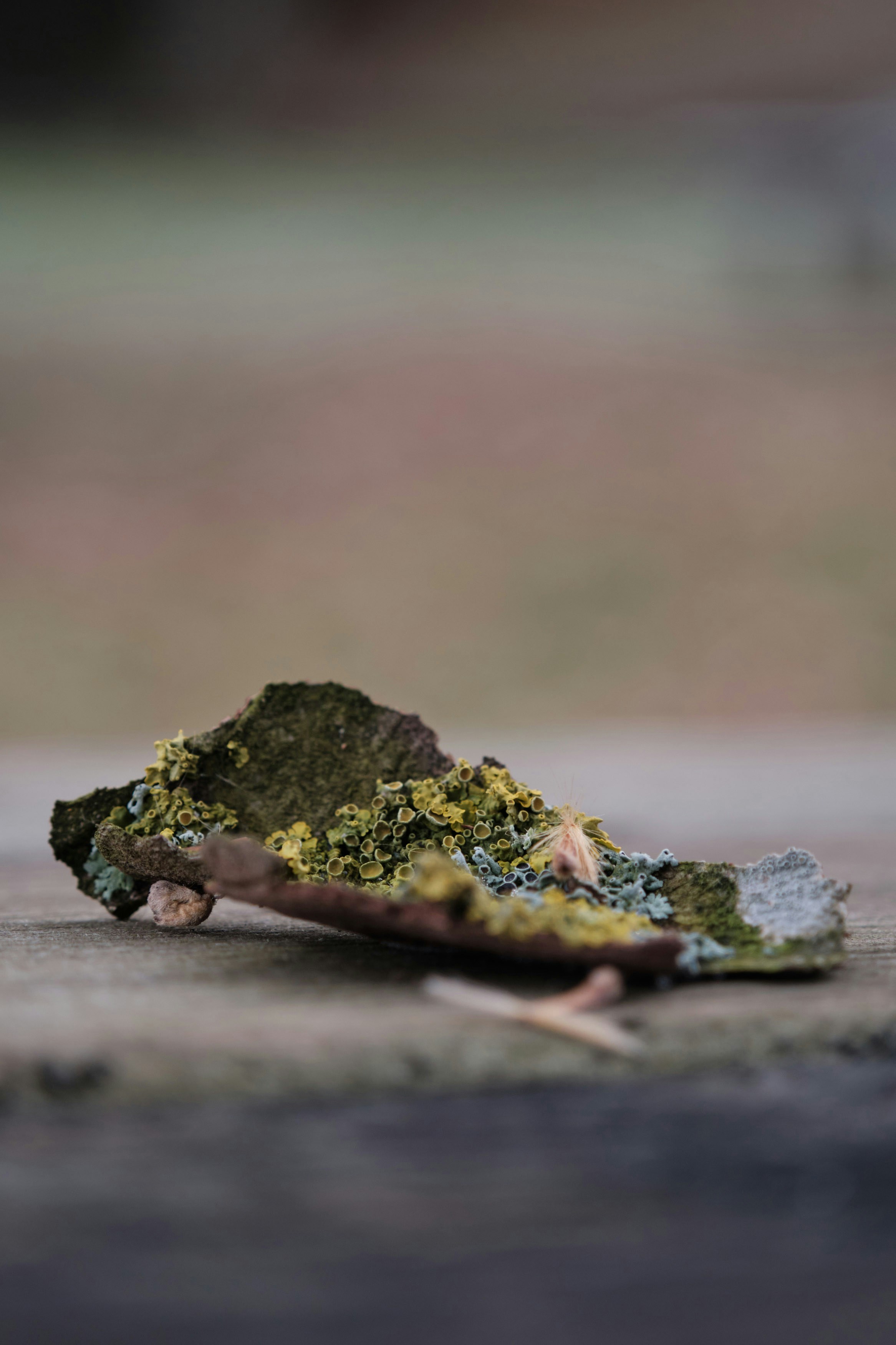 Photo by marcus_ganahl