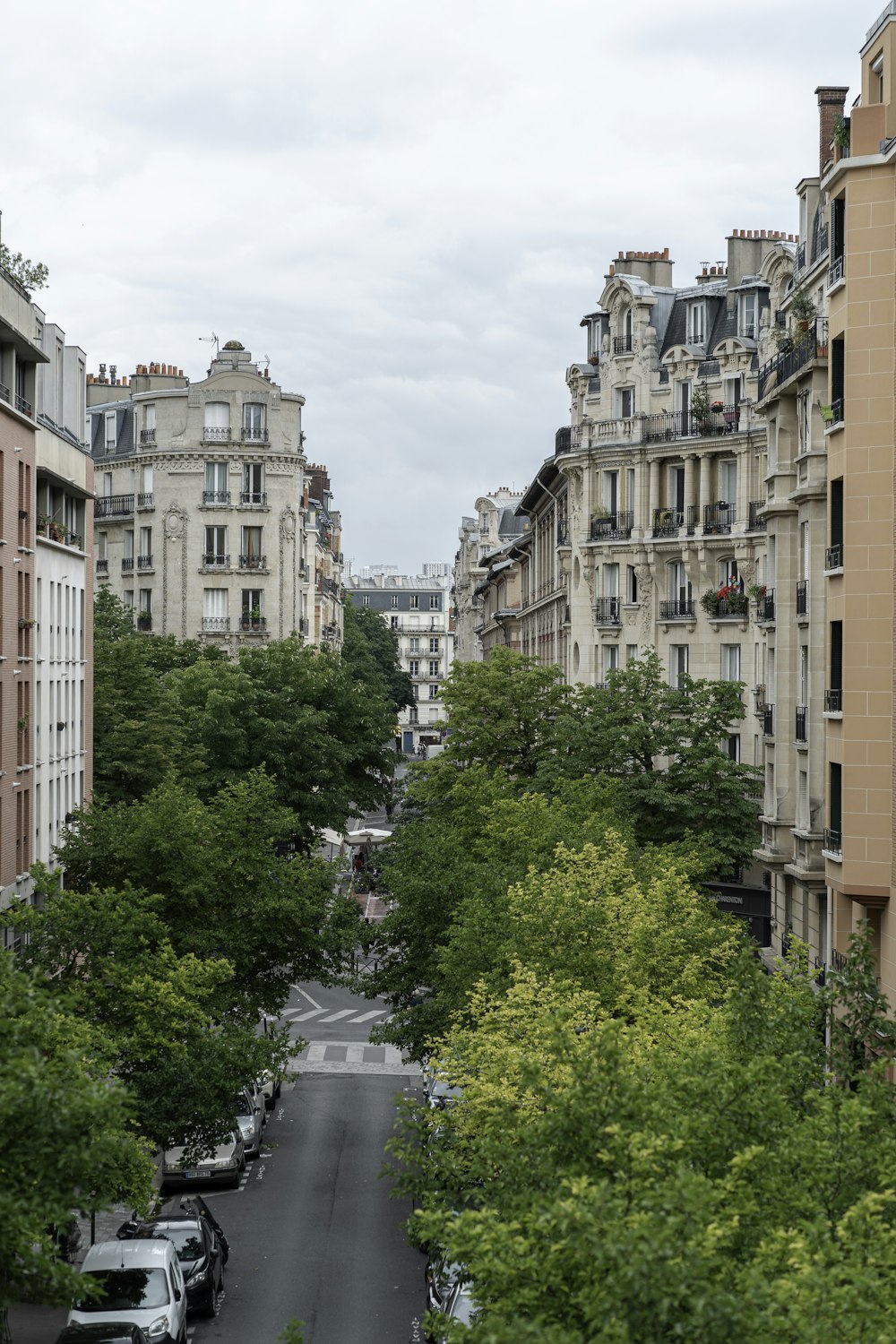 green trees near brown concrete building during daytime