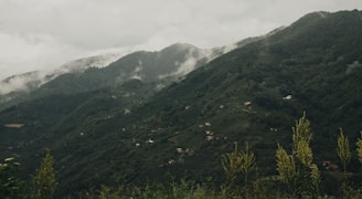 A lush, green mountain landscape with mist and clouds drifting over the peaks. Small houses are scattered throughout the mountain slopes, surrounded by dense forest. The scene is tranquil and expansive, with a variety of vegetation in the foreground.