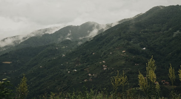 A lush, green mountain landscape with mist and clouds drifting over the peaks. Small houses are scattered throughout the mountain slopes, surrounded by dense forest. The scene is tranquil and expansive, with a variety of vegetation in the foreground.