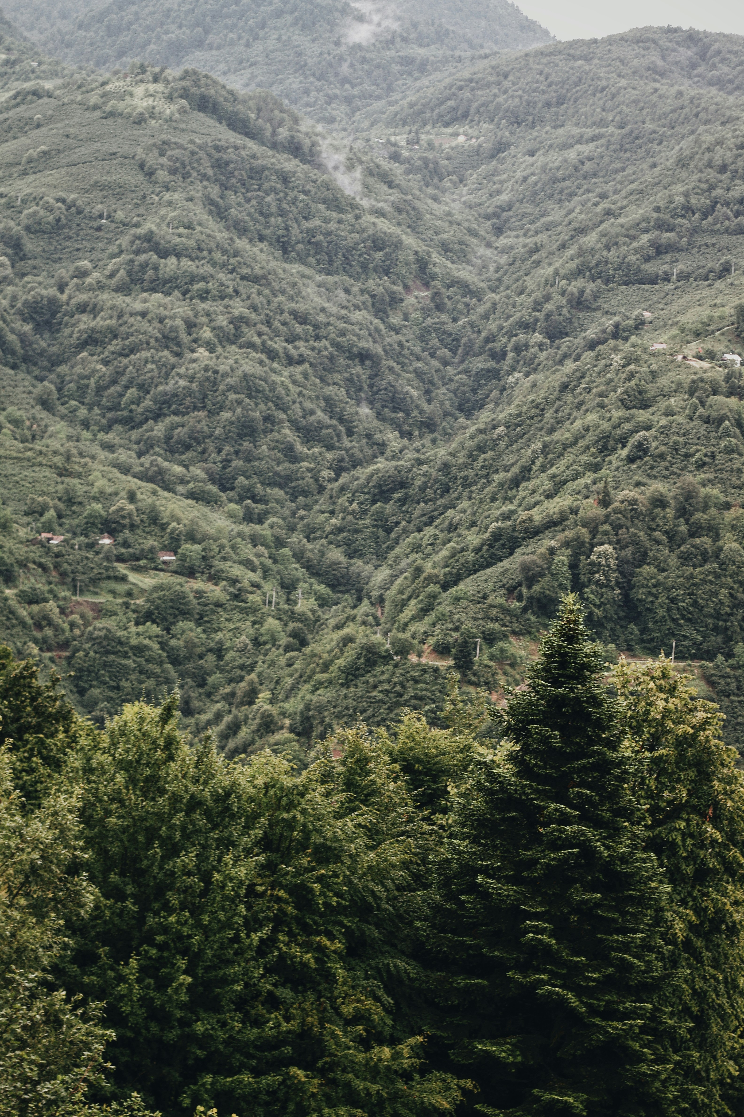 Photo by ispywithmylittleeye