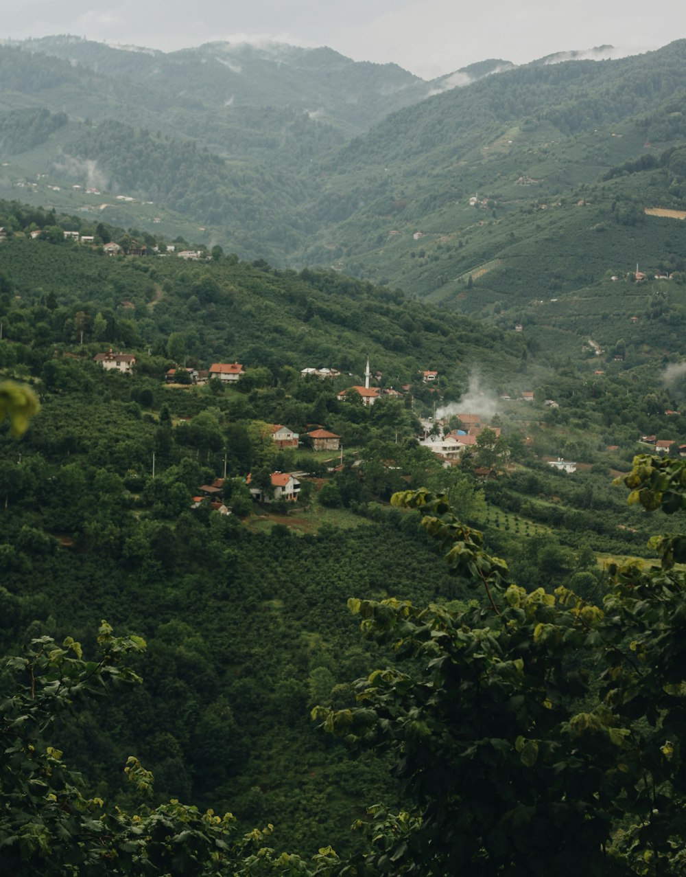 green trees and mountains during daytime