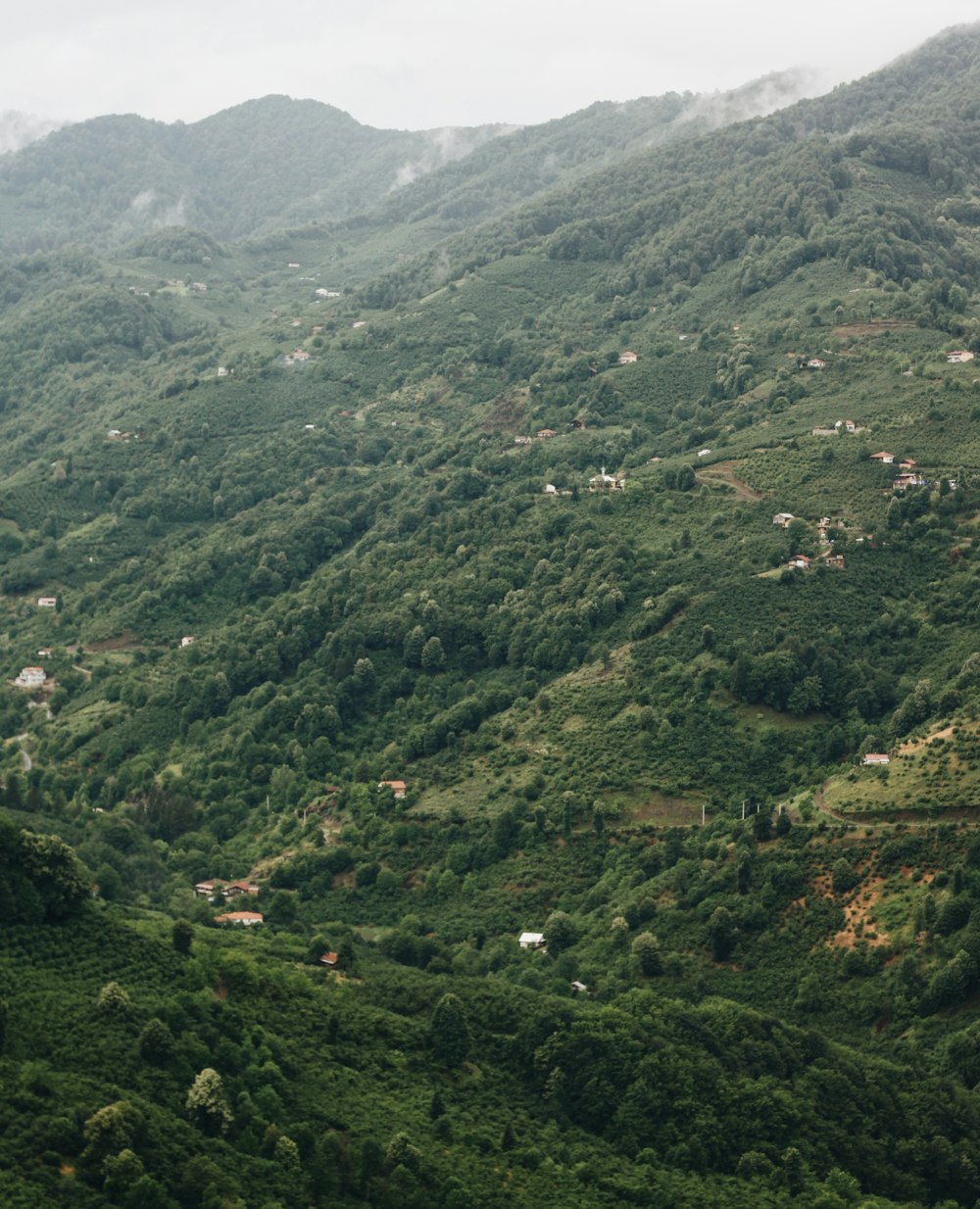 green mountains under white sky during daytime