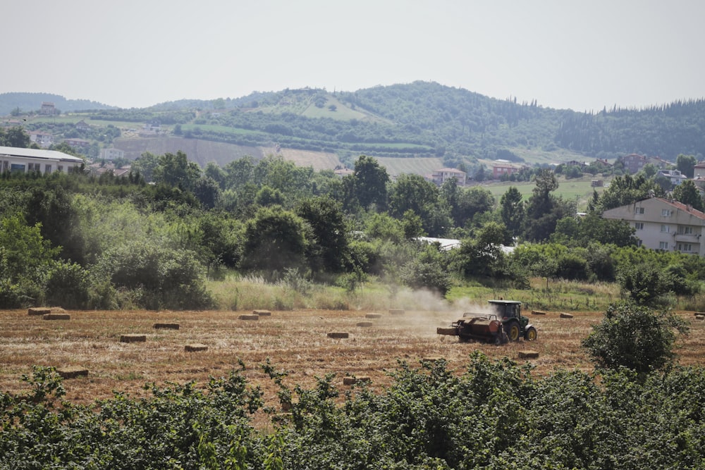 Champ d’herbe verte près d’arbres verts pendant la journée